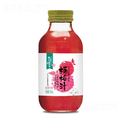 奈美情书杨梅汁复合果汁饮料310ml